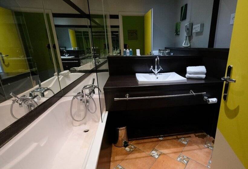 Номер Стандарт, Hôtel Des Beaux Arts Toulouse