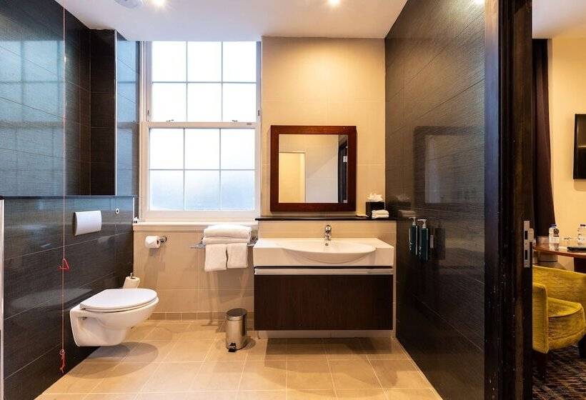 Номер Стандарт Адаптированный для Инвалидов, Doubletree By Hilton  London  West End