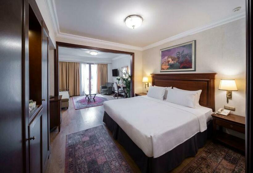 가든 전망 주니어 스위트, Electra Palace  Athens