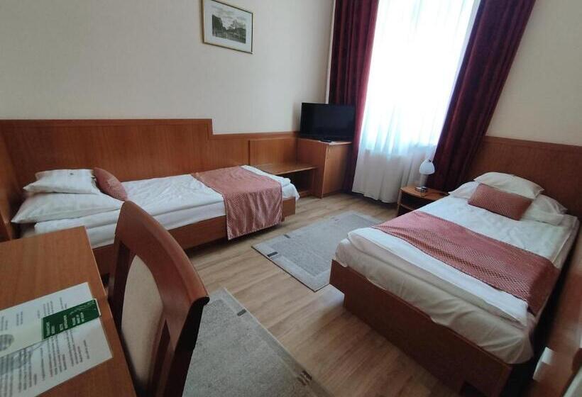 Номер Стандарт, Pannonia