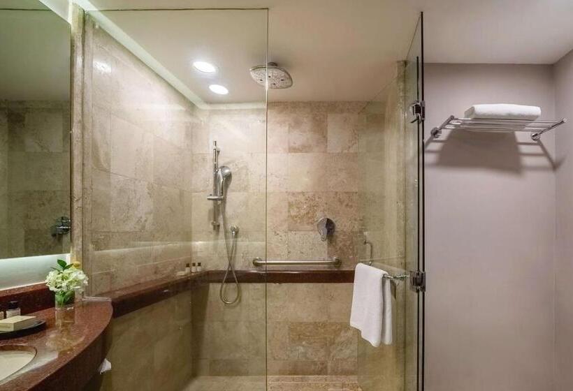 ２ダブルベッドのスタンダードルーム, Hyatt Regency Villahermosa