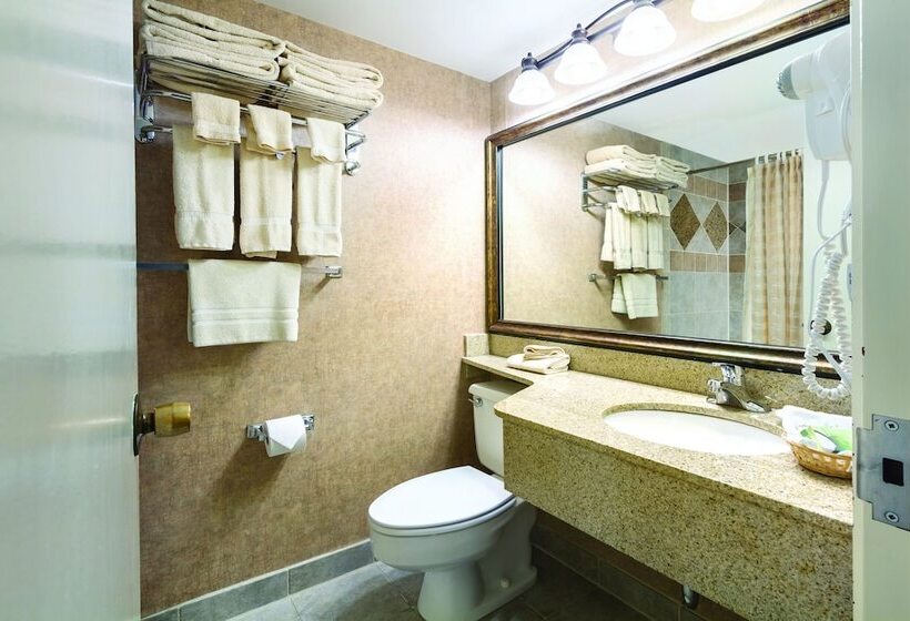 Семейный Номер Superior, Arrowwood Resort Hotel And Conference Center   Alexandria