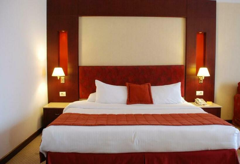 اتاق اجرایی, Safir Hotel Cairo