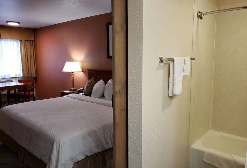 اتاق لوکس, Airport Inn