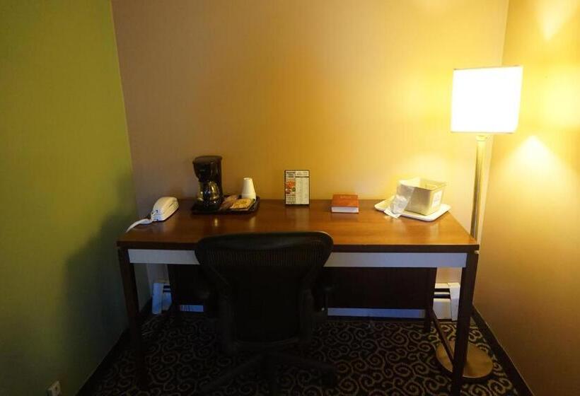 Стандартный Номер Кровать Кинг, Bellevue Hotel And Suites
