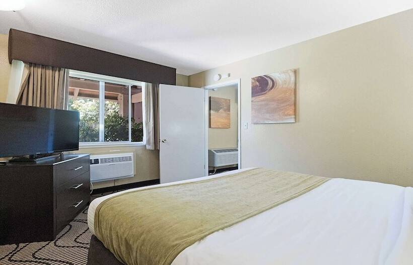 Люкс, Best Western Gold Country Inn