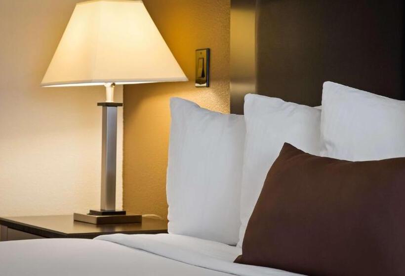 Люкс, Best Western Plus Concordville