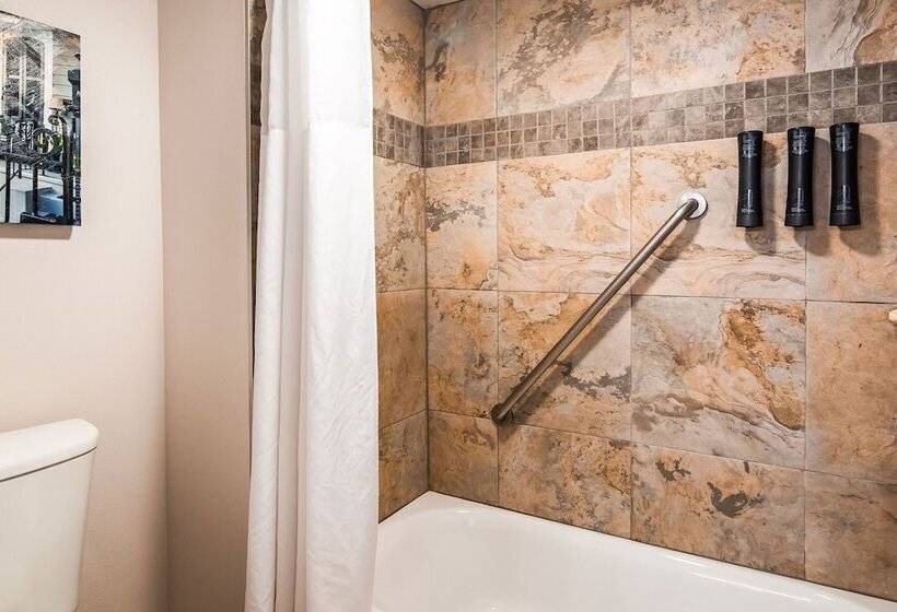 Номер Стандарт 2 Двуспальные Кровати, Best Western Plus Westbank