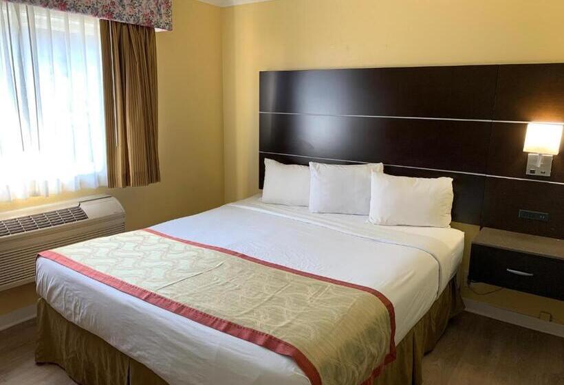带3个卧室的套间, Olive Tree Inn & Suites