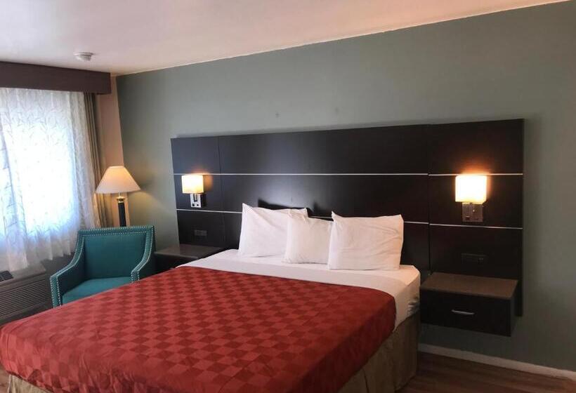豪华房间, Olive Tree Inn & Suites