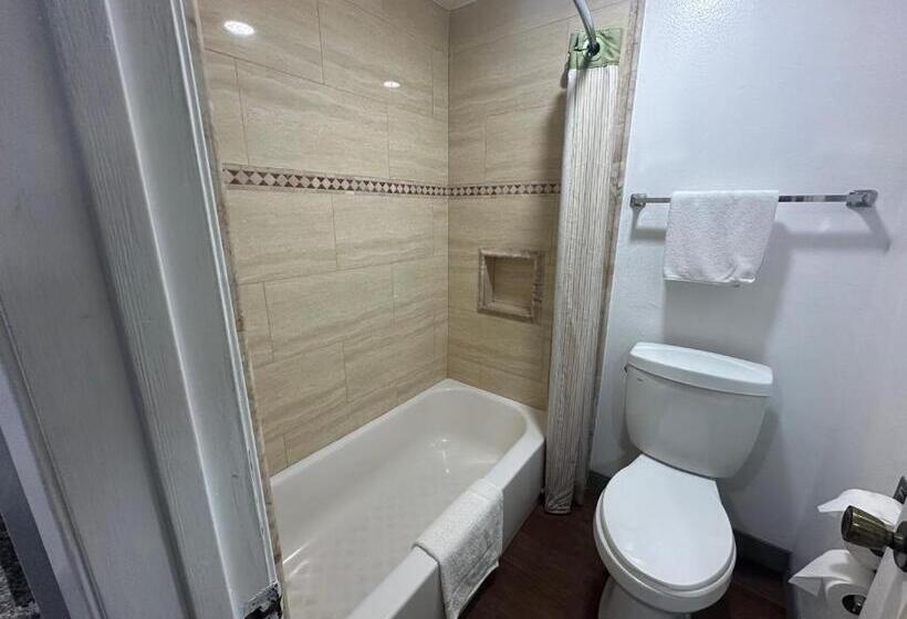 스탠다드 룸 킹사이즈 침대, Palm Inn Hotel Near Tyler Mall Riverside