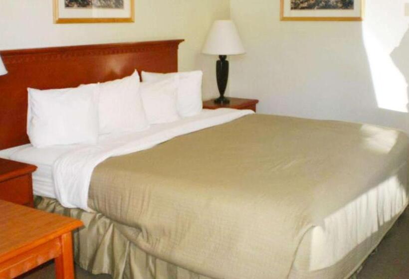 Номер Стандарт, Magnuson Hotel Park Vue