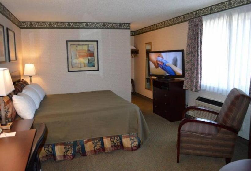 带大床的标准间, Winnemucca Holiday Motel