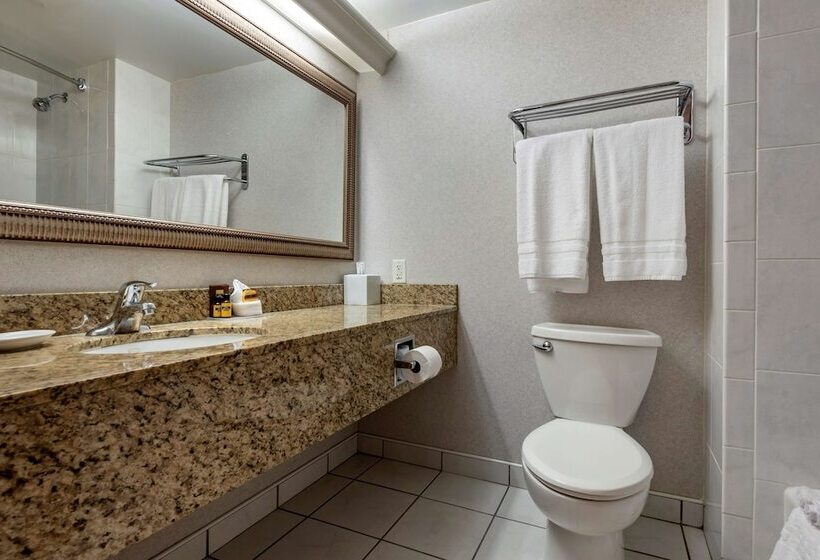 Номер Стандарт, Best Western Plus Oswego Hotel And Conference Center