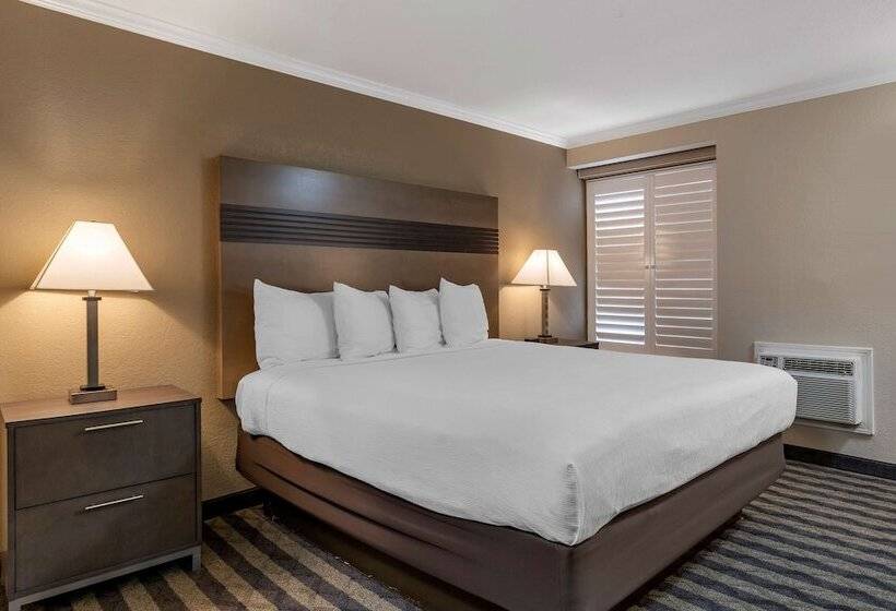 이그제큐티브 룸, Best Western Silicon Valley Inn