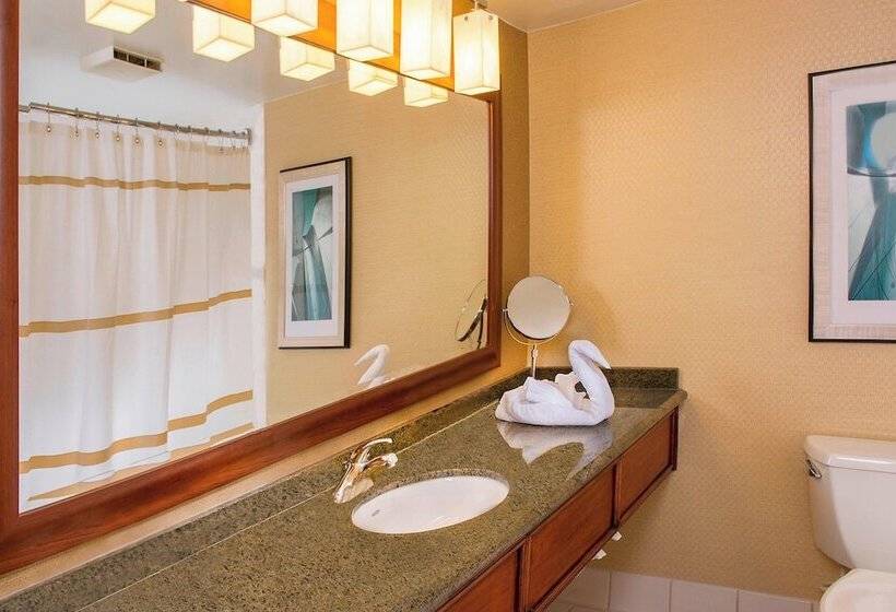스탠다드 룸 더블 침대, Bwi Airport Marriott