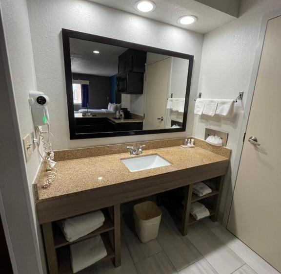 Президентский Люкс, Comfort Inn & Suites Mundeleinvernon Hills