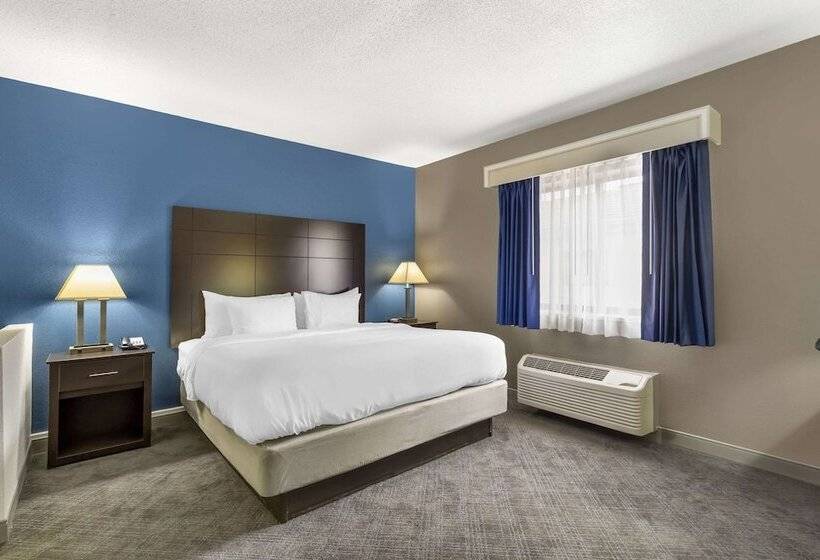 Люкс, Comfort Inn & Suites Mundeleinvernon Hills