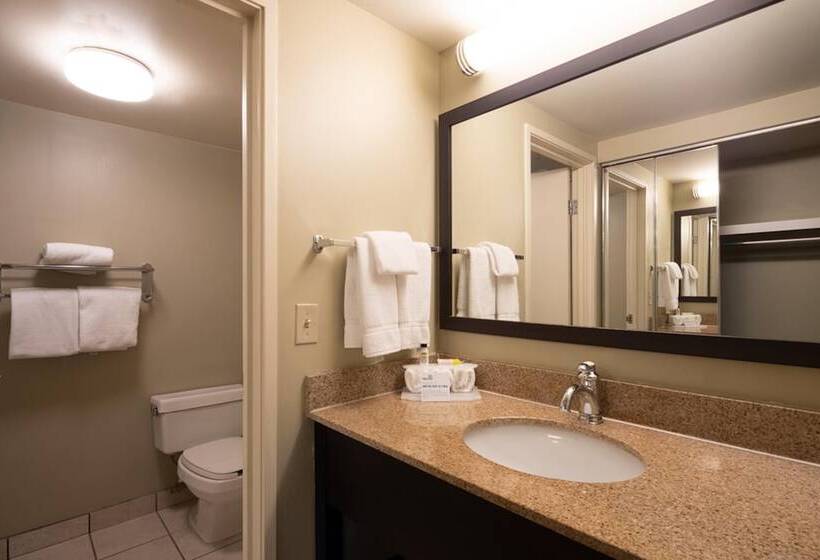 Люкс, Holiday Inn Express Hotel & Suites Pittsburgh Airport, An Ihg