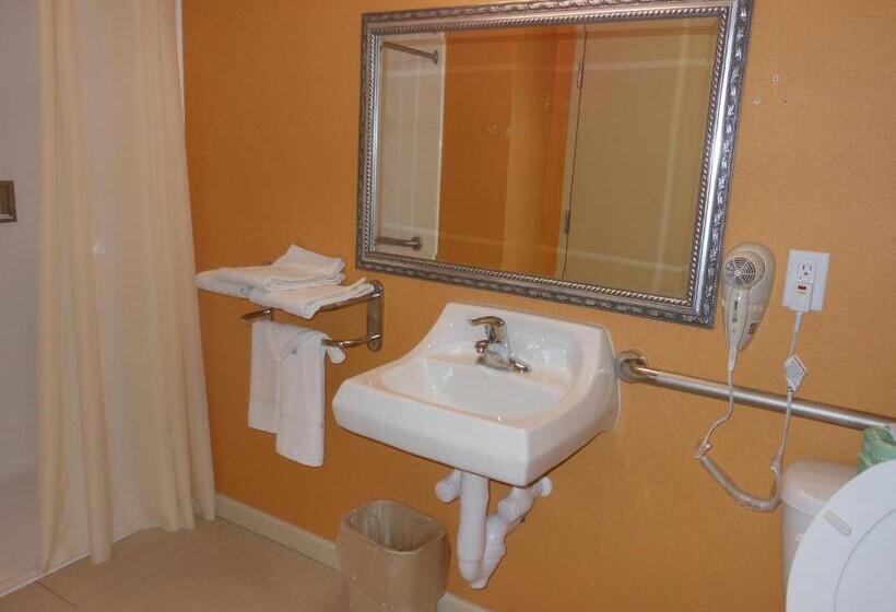 اتاق استاندارد با تخت بزرگ, Rodeway Inn University