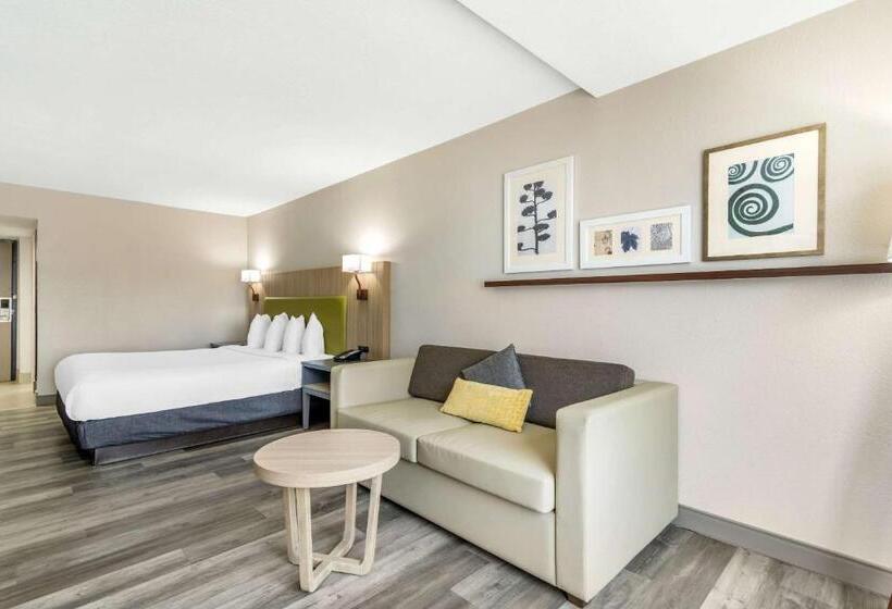 스탠다드 스튜디오 킹침대, Country Inn & Suites By Radisson, Atlanta Airport South, Ga