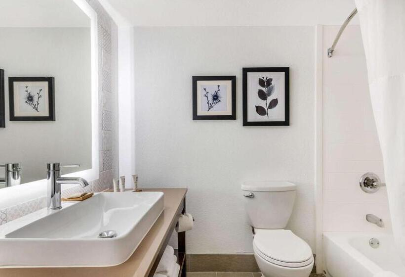 스탠다드 룸, Country Inn & Suites By Radisson, Atlanta Airport South, Ga