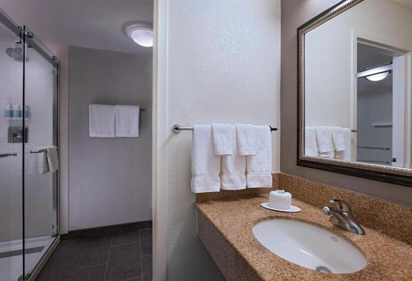 Suite Llit King, Courtyard By Marriott Dallas Arlington Entertainment District