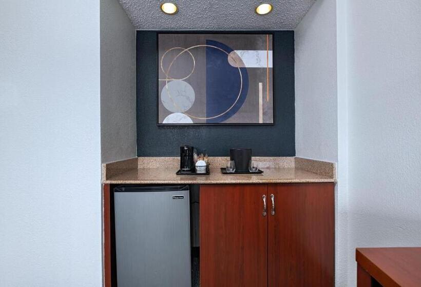Suite, Courtyard By Marriott Dallas Arlington Entertainment District