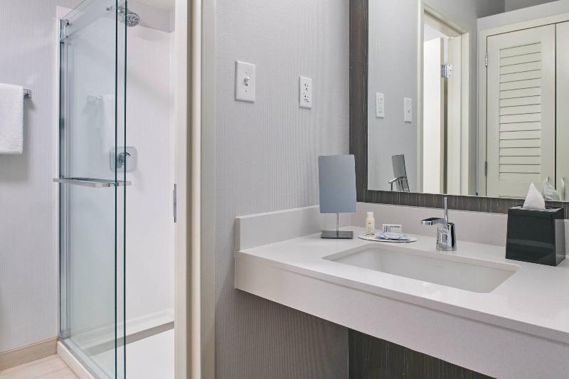 带大床的套房, Courtyard By Marriott Indianapolis Castleton