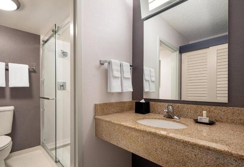 Люкс Кровать Кинг, Courtyard Sacramento Rancho Cordova