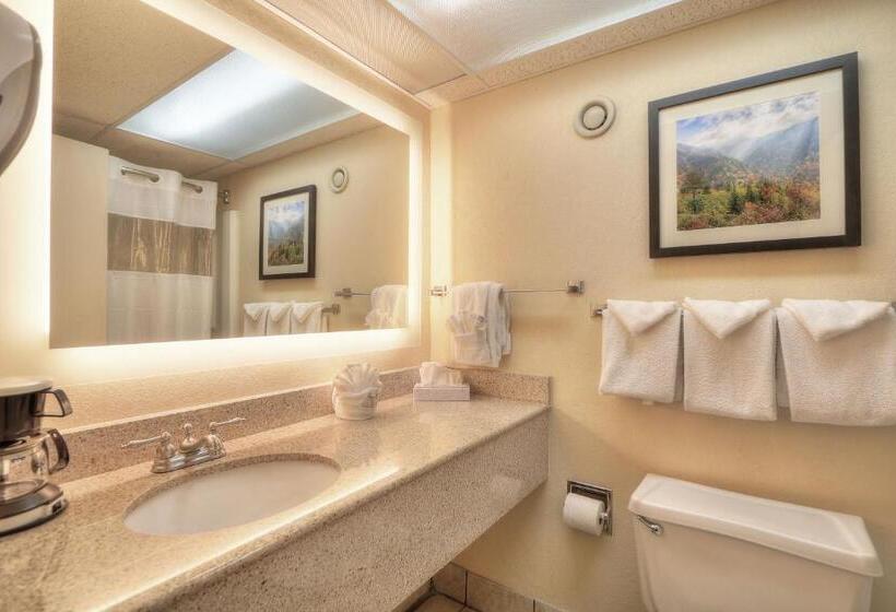 غرفة قياسية مزوَّدة بجاكوزي, Edgewater Hotel And Conference Center