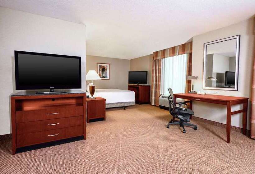 Полулюкс Кровать Кинг, Hilton Santa Barbara Beachfront Resort