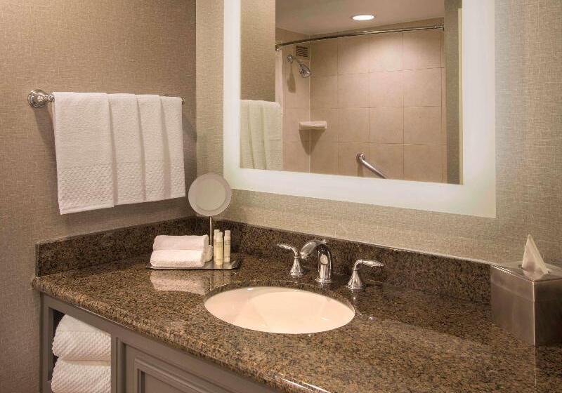 キングサイズベッドのスタンダードルーム, Doubletree By Hilton Austin
