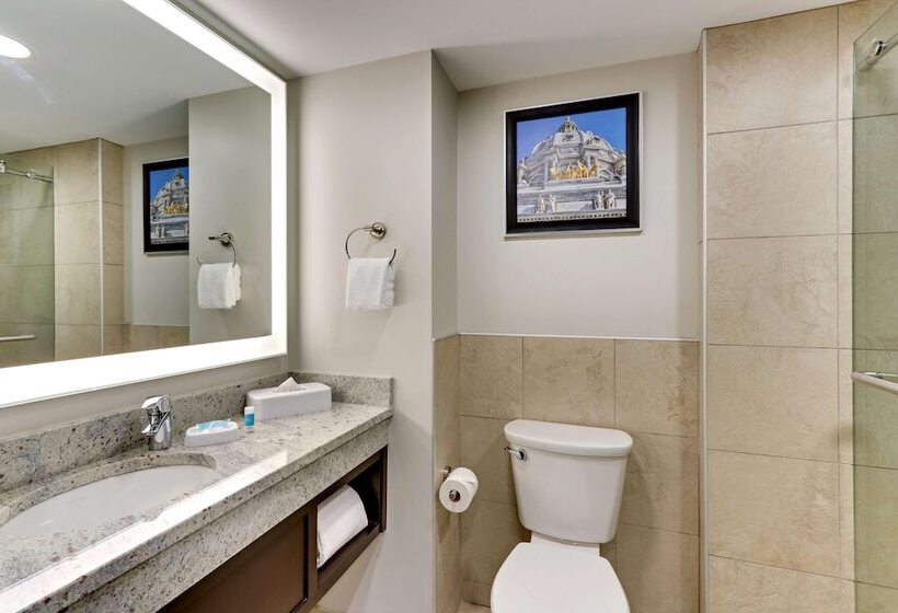 Люкс Адаптированный для Инвалидов, Drury Plaza Hotel St. Paul Downtown