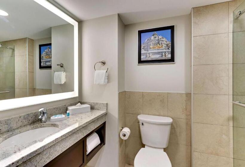 Люкс Адаптированный для Инвалидов, Drury Plaza Hotel St. Paul Downtown