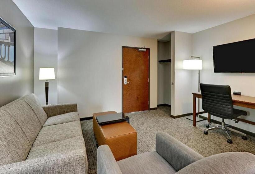Люкс Superior, Drury Plaza Hotel St. Paul Downtown