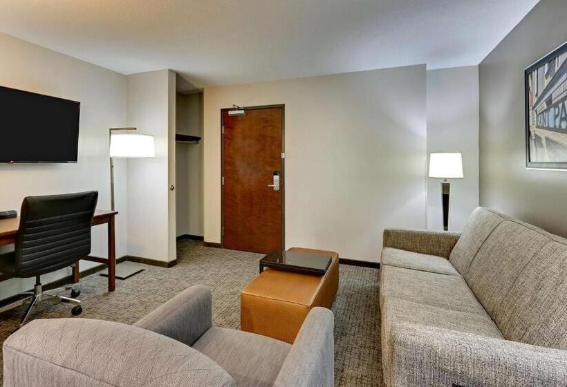 Люкс Superior, Drury Plaza Hotel St. Paul Downtown