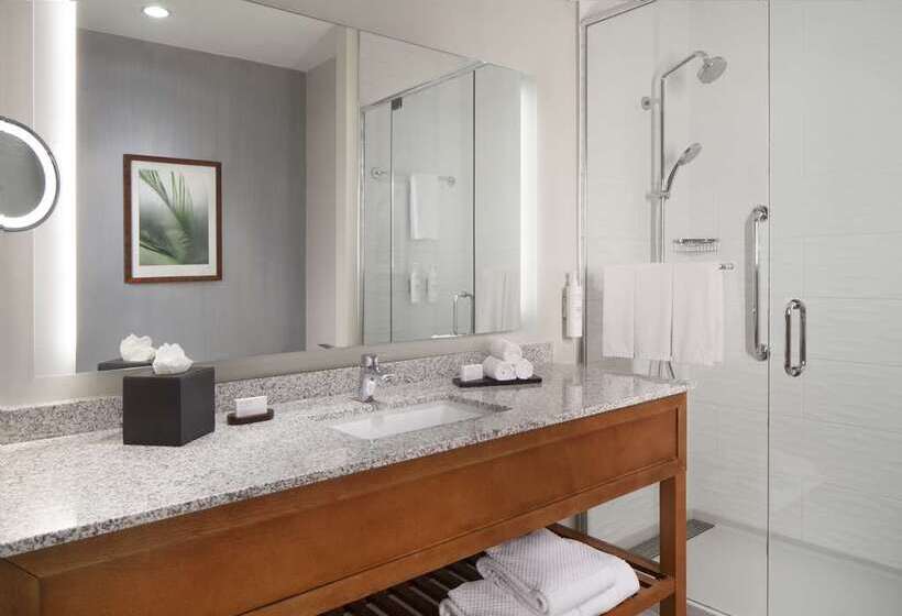 Suíte Premium, Embassy Suites By Hilton Atlanta Perimeter Center