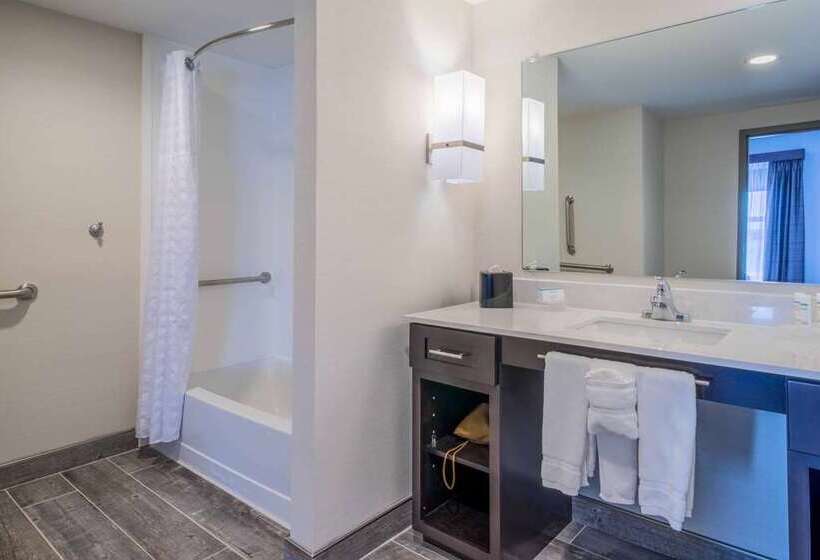 Estúdio standard Cama King, Embassy Suites By Hilton Atlanta Perimeter Center