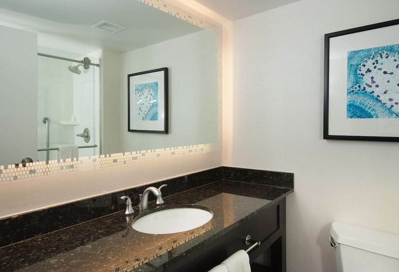 סוויטה, Embassy Suites By Hilton Raleigh Crabtree