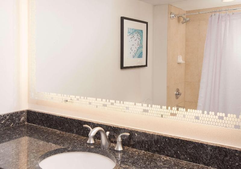 Suite King Size Seng, Embassy Suites By Hilton Raleigh Crabtree