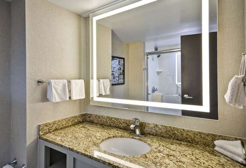 סוויטה, Embassy Suites By Hilton Raleigh Crabtree