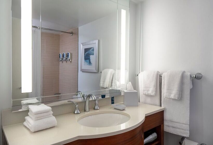 סוויטה מותאמת לאדם עם מוגבלויות, Four Points By Sheraton Suites Tampa Airport Westshore