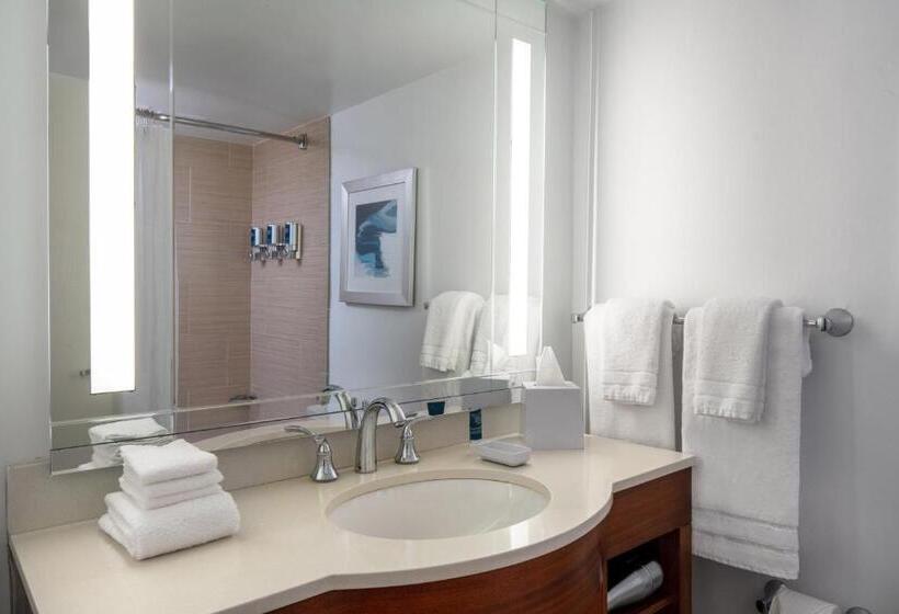 סוויטה אקזקיוטיב, Four Points By Sheraton Suites Tampa Airport Westshore