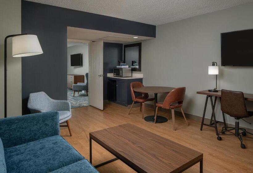 סוויטה מותאמת לאדם עם מוגבלויות, Four Points By Sheraton Suites Tampa Airport Westshore