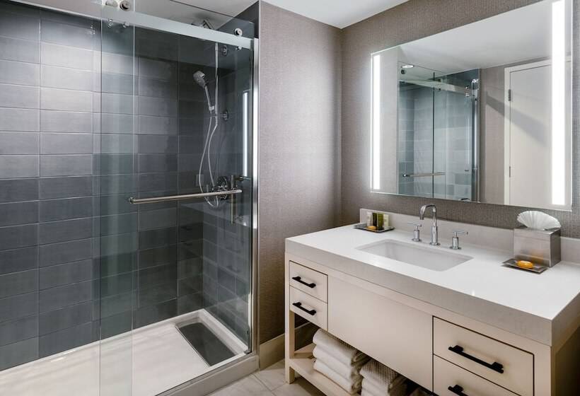 Студия Стандарт Двуспальная Кровать, Hilton Dallas Lincoln Centre