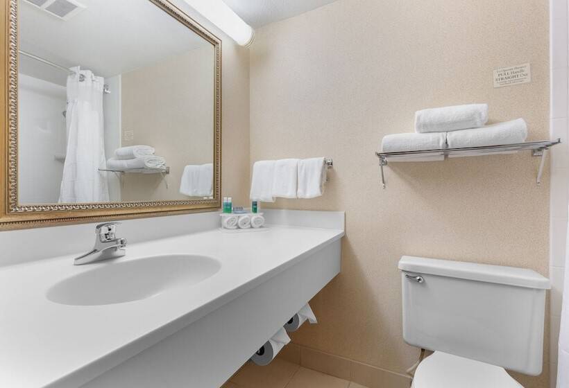 ２ダブルベッドのスタンダードルーム, Holiday Inn Express Chicago Downers Grove, An Ihg