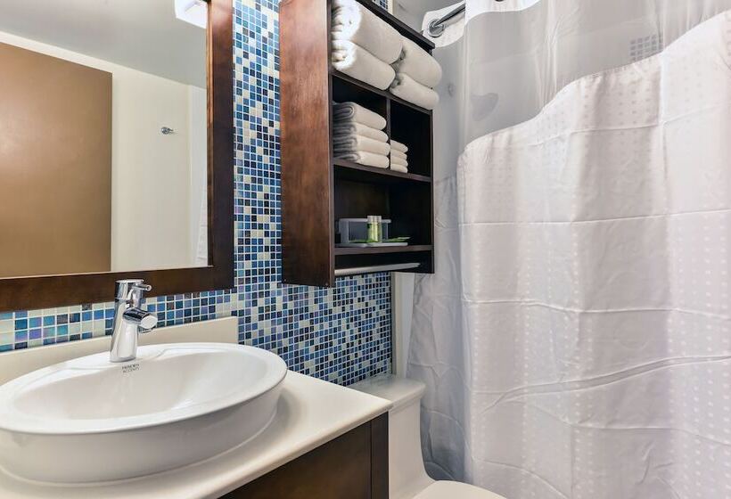スタンダードルーム, Holiday Inn Express Washington Dc Silver Spring, An Ihg