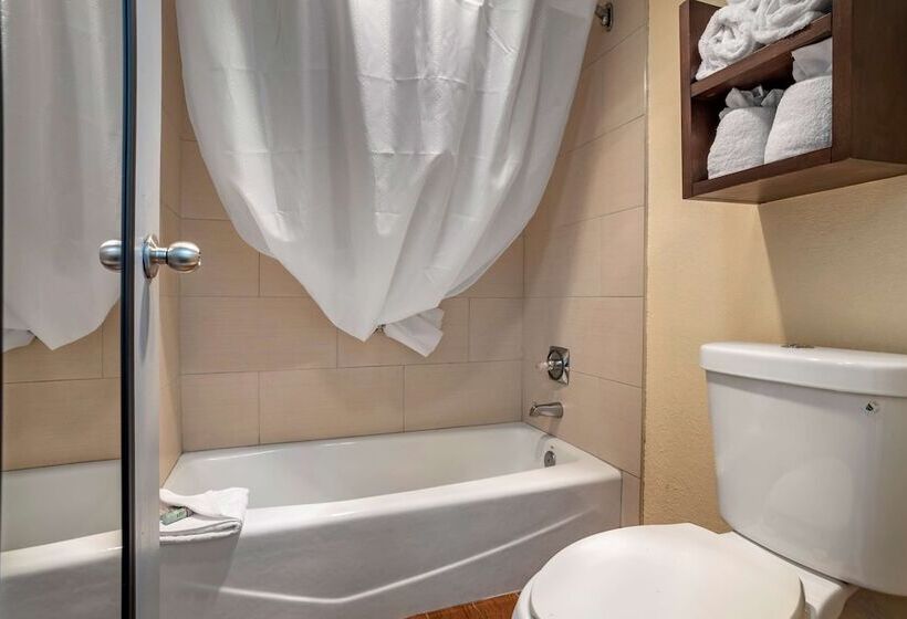 Номер Стандарт 2 Двуспальные Кровати, Best Western Salisbury Plaza
