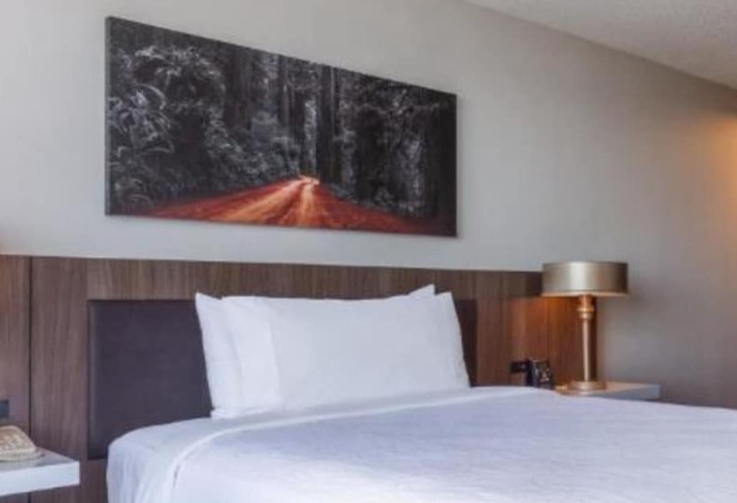クイーンサイズベッドのスタンダードルーム, Hilton Garden Inn San Francisco/oakland Bay Bridge